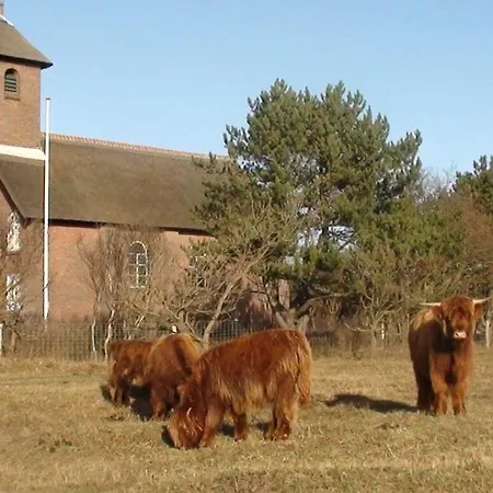Sonneduyn 2 Comfortable Holiday Tatil Evi Bergen aan Zee
